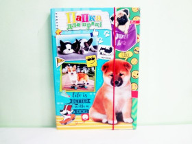 Папка  для праці на рез."Скат" УП-12