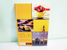 Щоденник діловий А5 паралон 192арк "Скат" Е-8