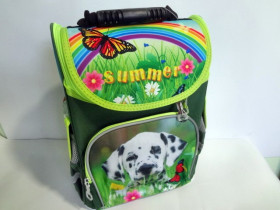 Ранець-короб "L" 988757 (д)