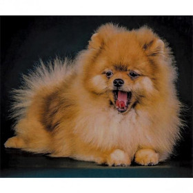 71212 Картина-живопис алмазами по номерам 30*40см