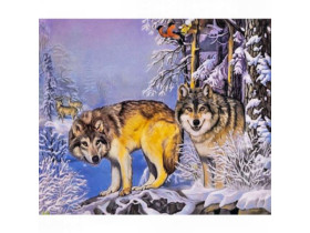 73440 Картина-живопис алмазами по номерам 30*40см