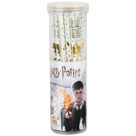 Карандаш графитный Kite с кристаллом Harry Potter HP25-059 (36шт)