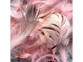 Пір'я для декору натуральне, коралове, 12 г