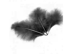 Пір'я декоративне біле, 6 г (≈100 шт.)