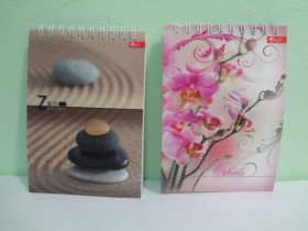 Блокнот А6, м'яка обкладинка, клітинка, верхня пружина, 40 арк., "Скат", ЗК-11 (25 шт.)