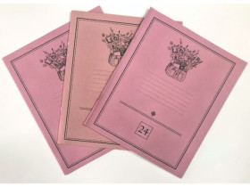 Зошит 24арк."КЛАСИЧНИЙ" лінія (30/480)