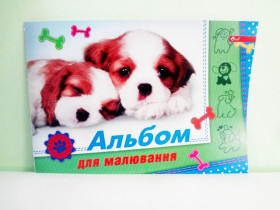 Альбом "Скат" 12/120 скоба  А-11(40шт)