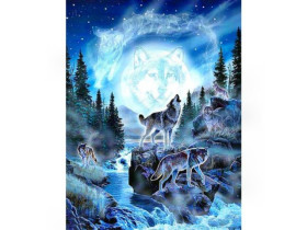 Картина за номерами 40*50см, 73485, акрилові фарби