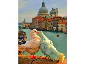 Картина за номерами 40*50см, 73520, акрилові фарби