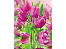 Картина за номерами 40*50см, 73474, акрилові фарби