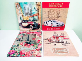 "Р" Щ-14 Дневник интегр.з тысн.(16шт)