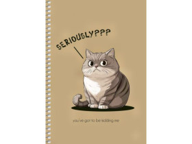 Зошит А5 6136К кл. пруж.крафт крем,96арк Школярик (3/54)