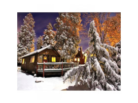 Картина за номерами 40*50см, 73505, акрилові фарби