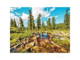 Картина за номерами 40*50см, 74449, акрилові фарби