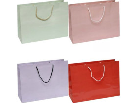 Пакет подарунковий 5041 Однотонний горизонтальний 24*35*12см (12шт)